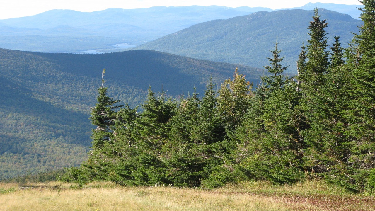 Photo of Others in Carrabassett Valley