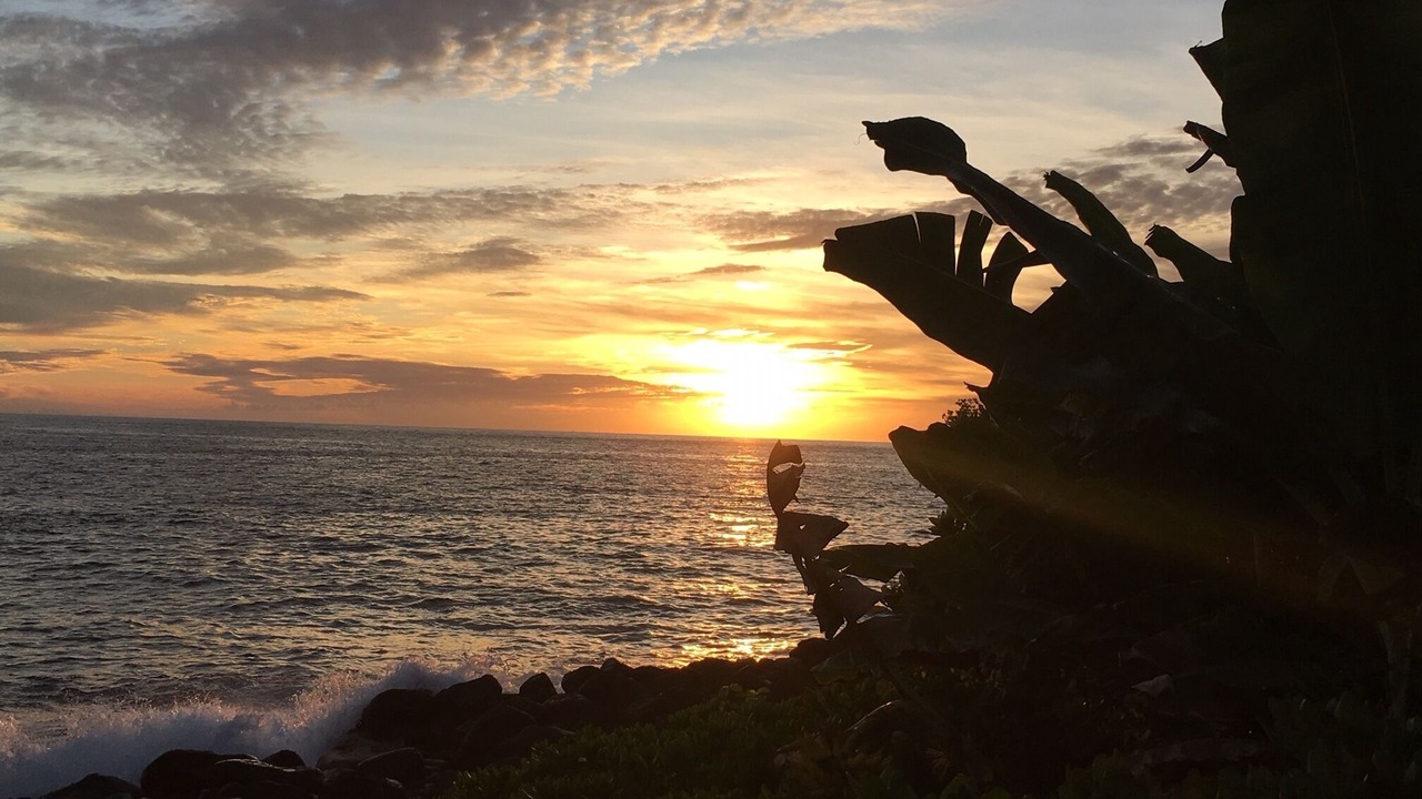 Photo of Others in Historic Kailua Village