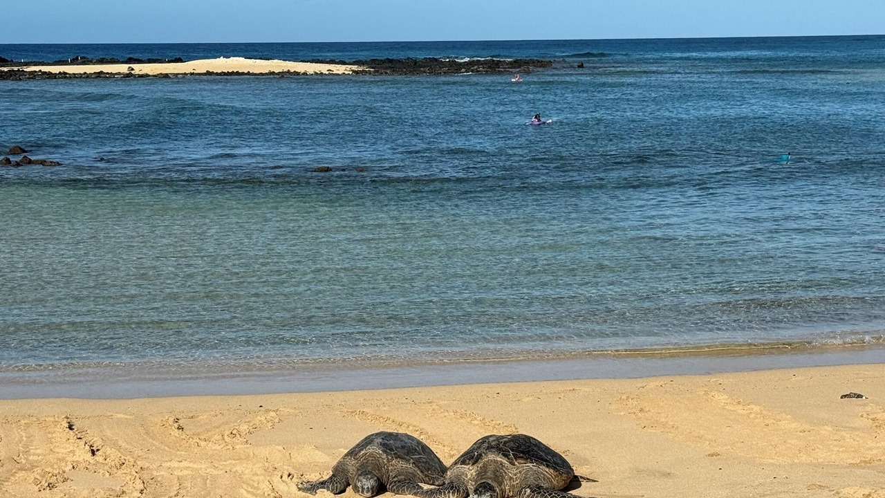 Photo of Others in Poipu