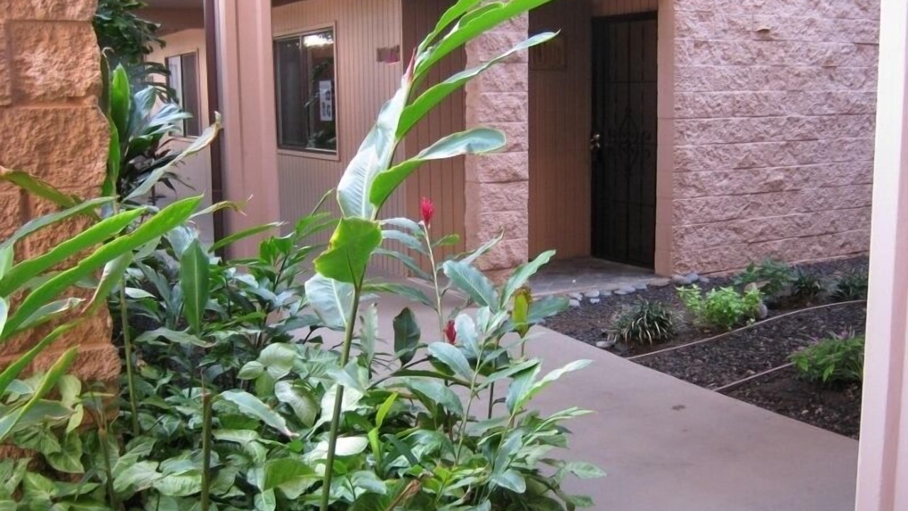 Photo of Others in Kihei