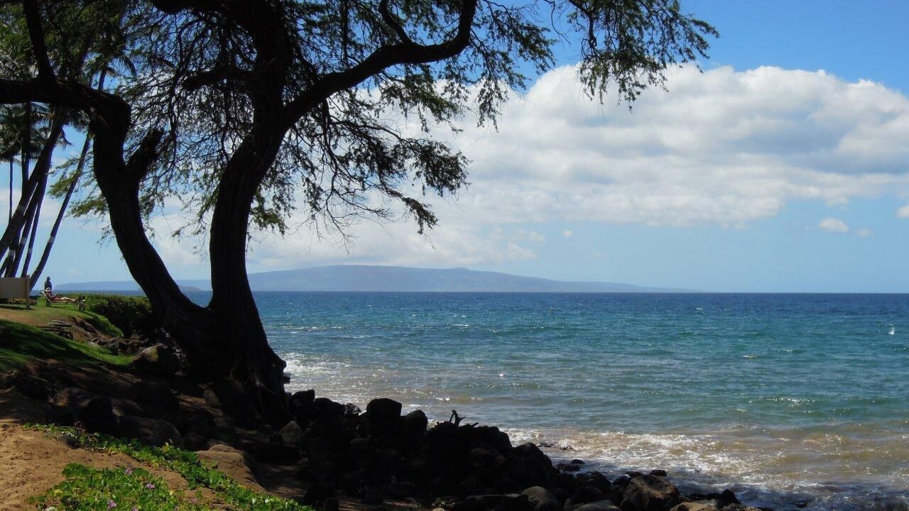 Photo of Others in Kihei