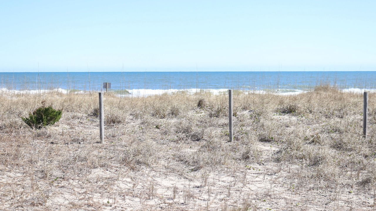 Photo of Others in Kure Beach
