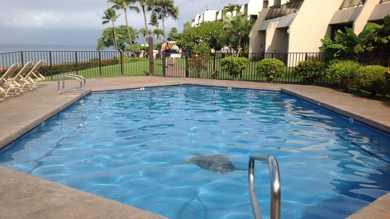 Photo of Outdoor in Napili