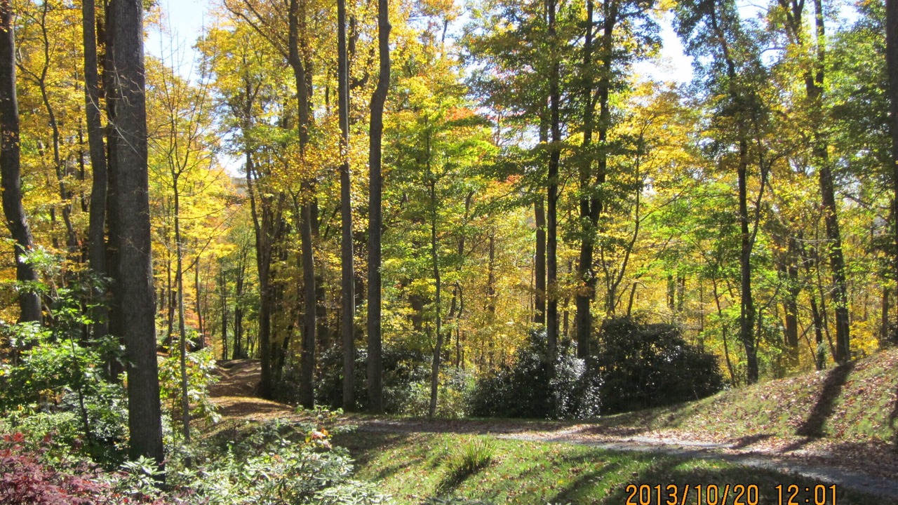 Photo of Others in Boone
