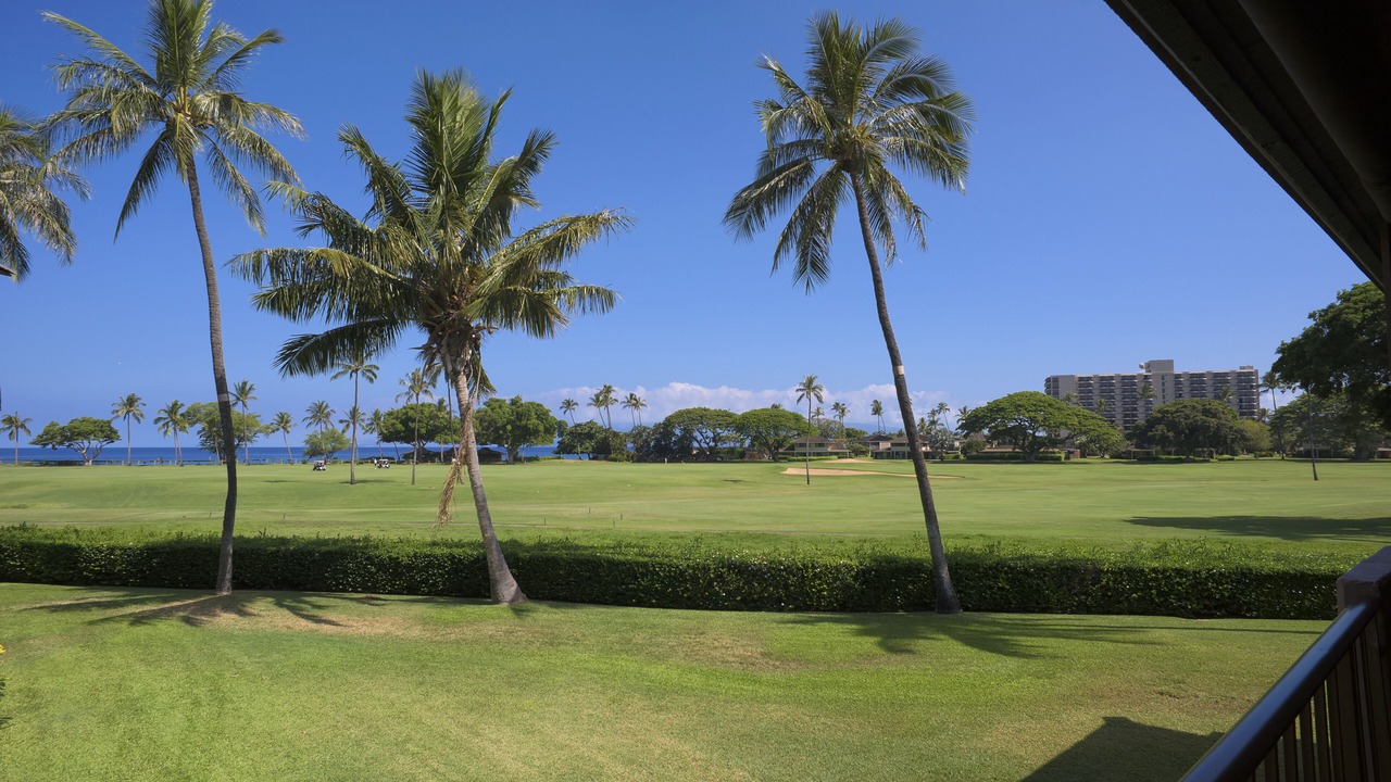Photo of Others in Kaanapali