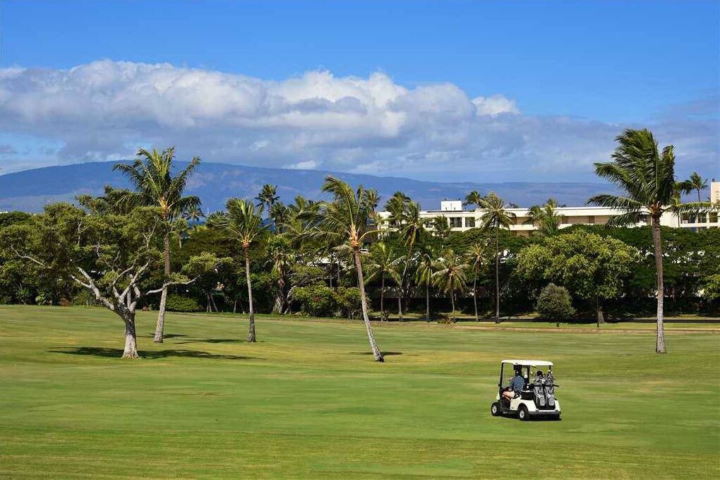 Photo of Others in Kaanapali