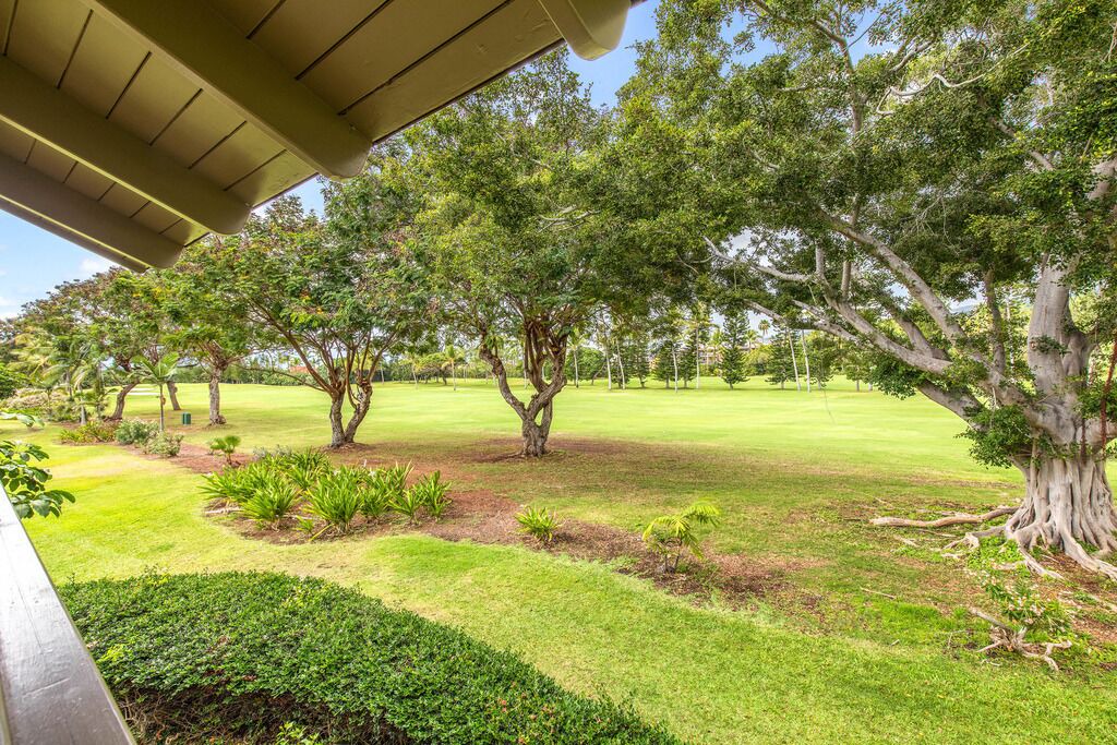 Photo of Others in Keauhou