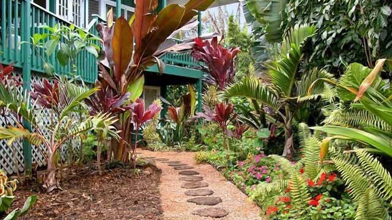 Photo of Others in Hanalei