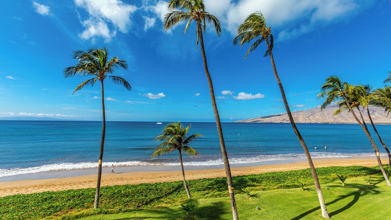 Photo of Others in Kihei