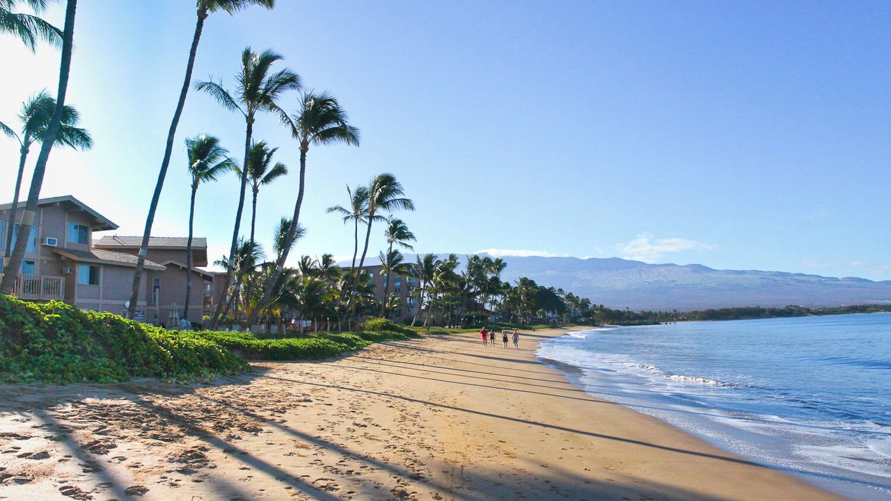 Photo of Others in Kihei