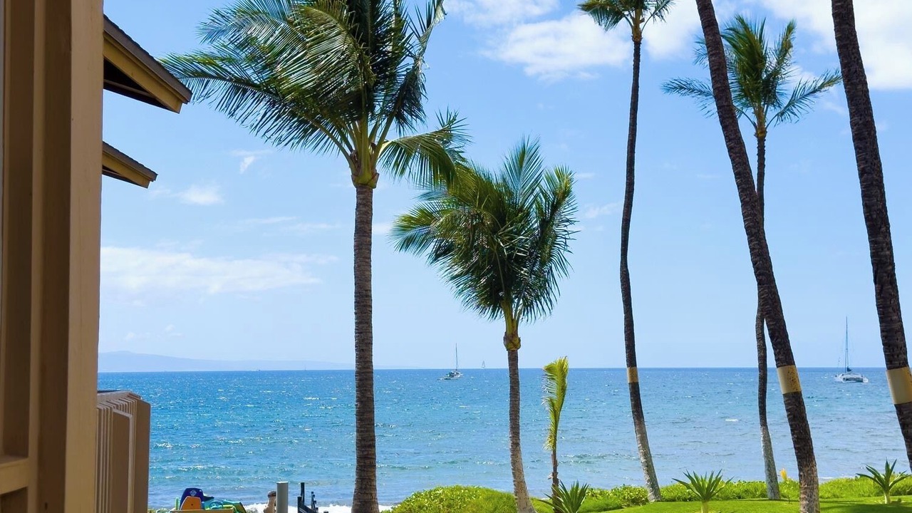 Photo of Others in Kihei