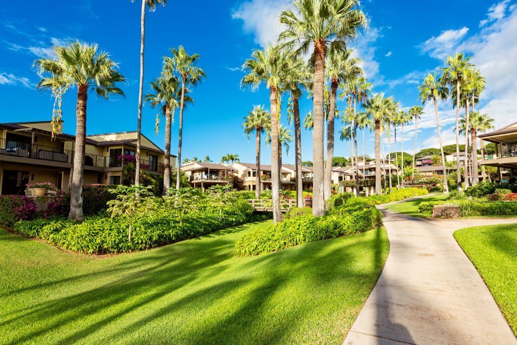Photo of Outdoor in Wailea
