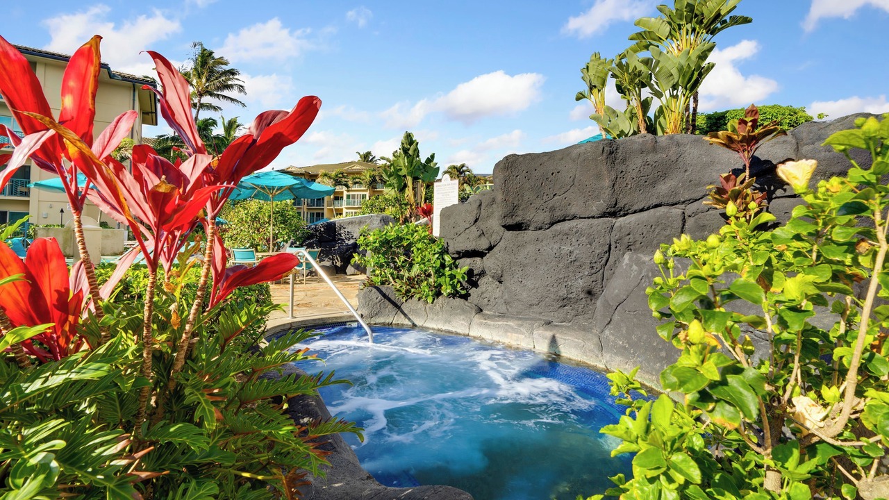 Photo of Outdoor in Wailua