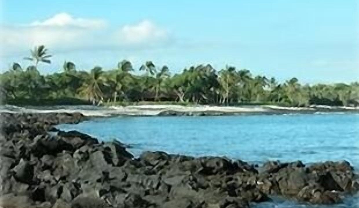 Photo of Others in Kamuela