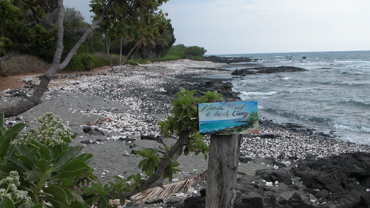 Photo of Others in Kamuela