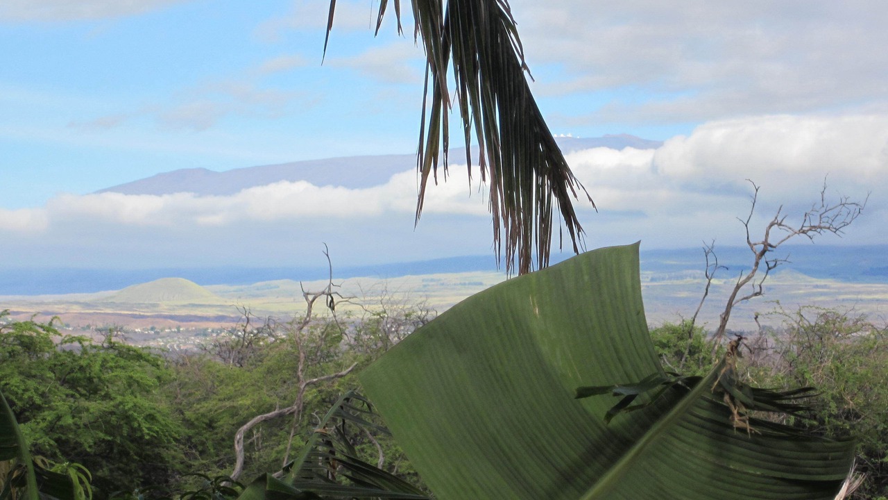 Photo of Others in Kamuela
