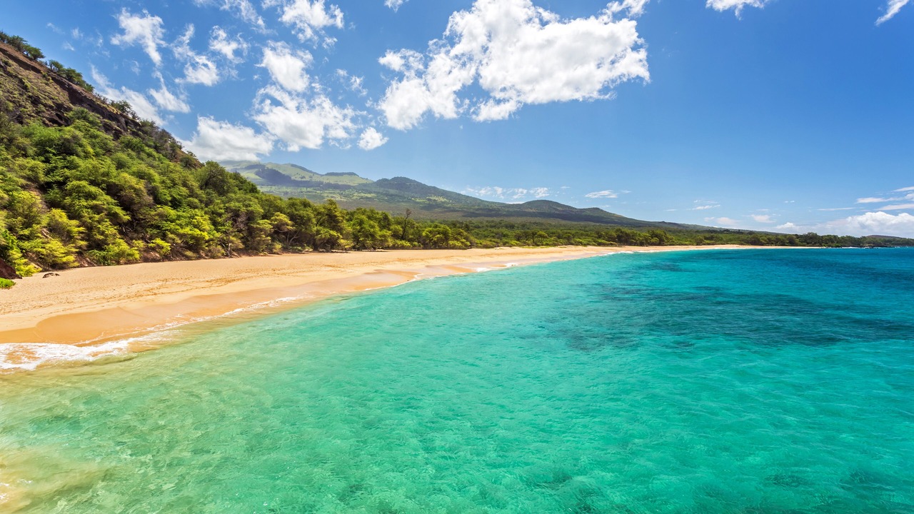 Photo of Others in Kihei