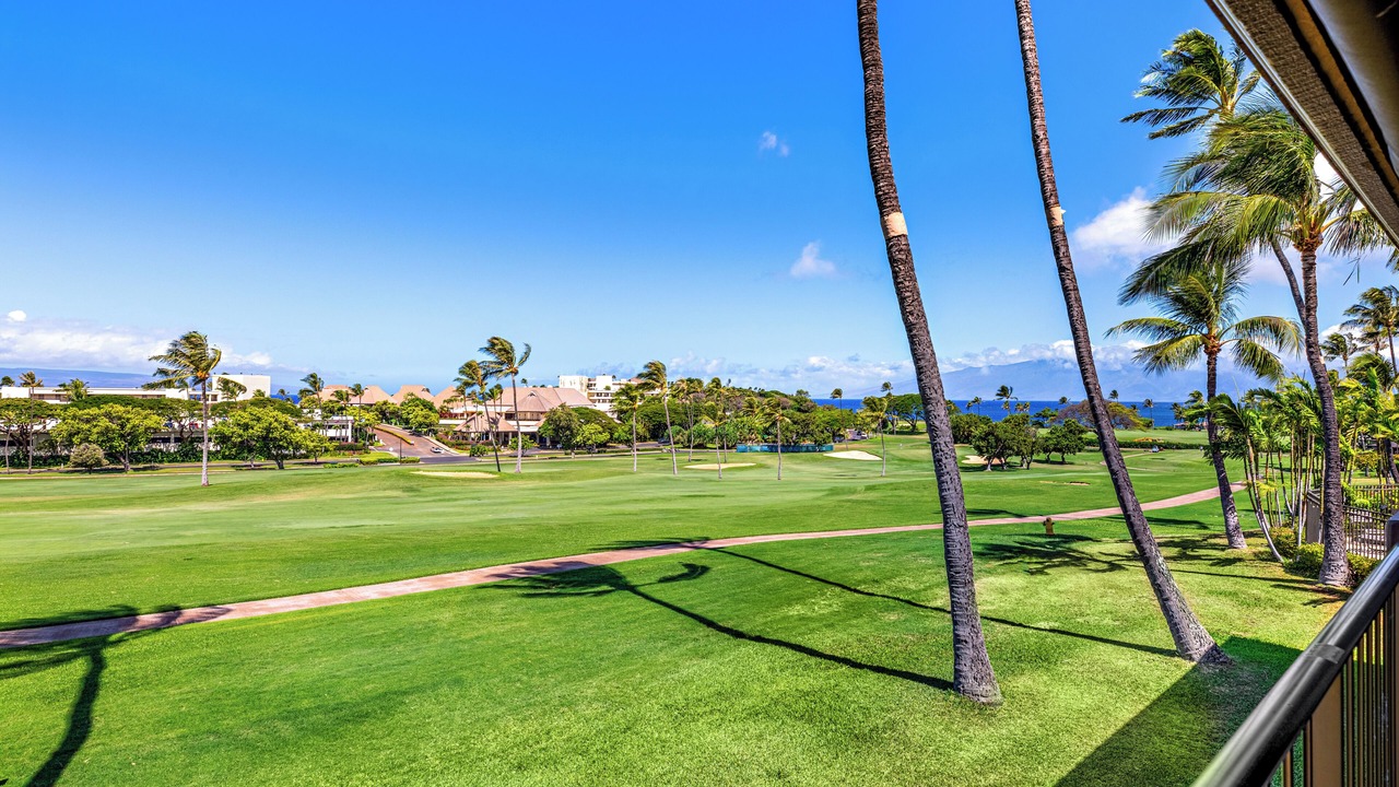Photo of Outdoor in Kaanapali
