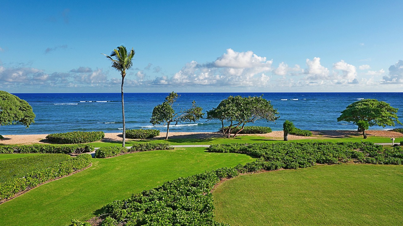 Photo of Outdoor in Wailua