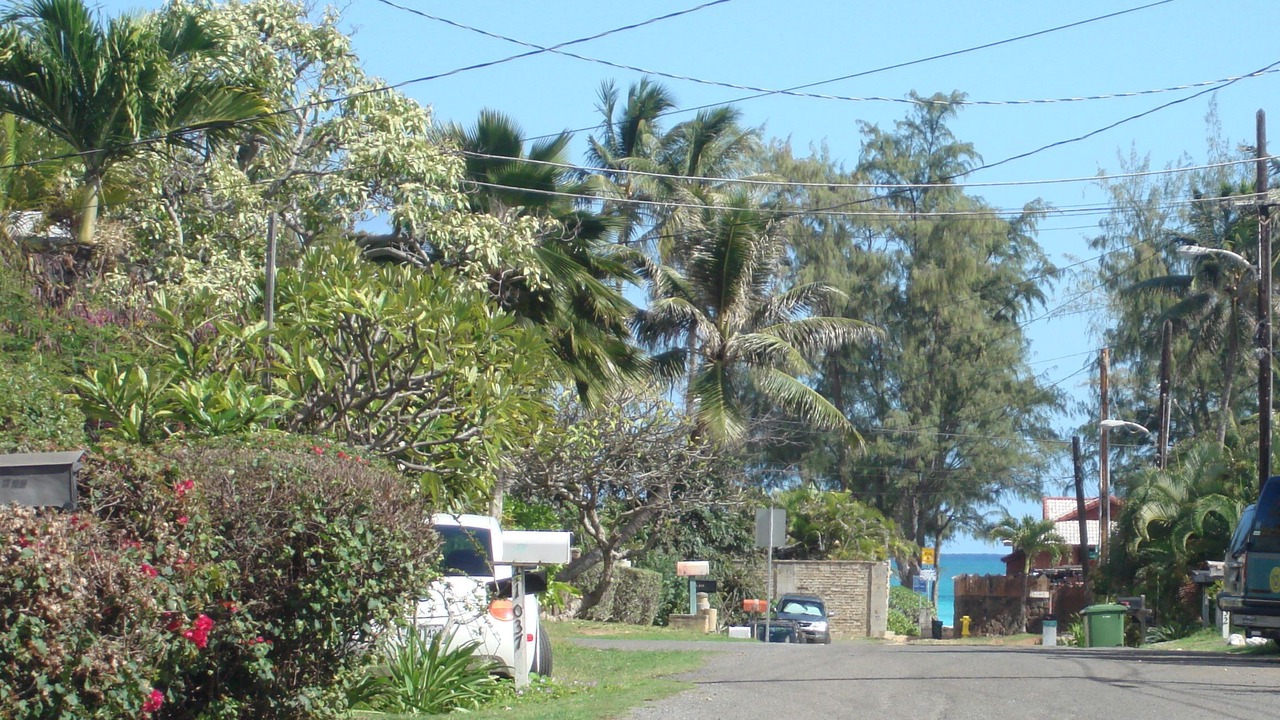 Photo of Others in Waimanalo Beach