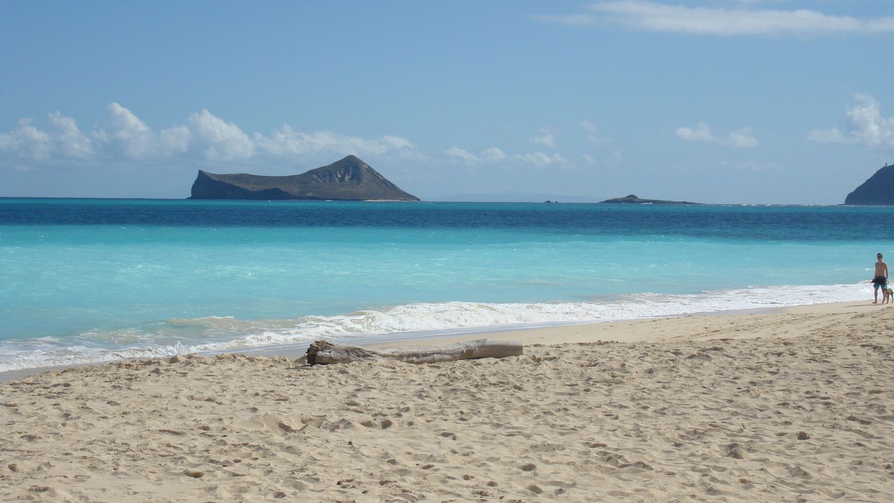 Photo of Others in Waimanalo Beach