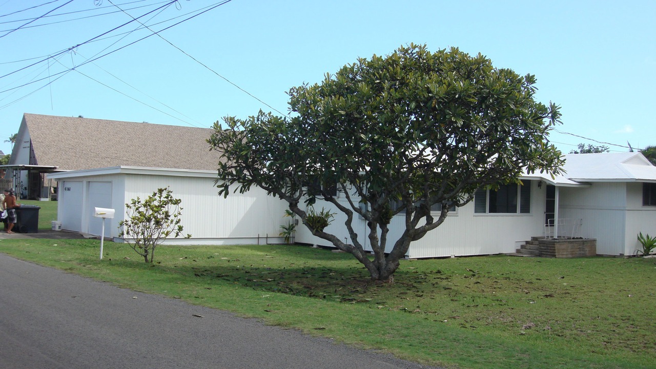 Photo of Others in Waimanalo Beach