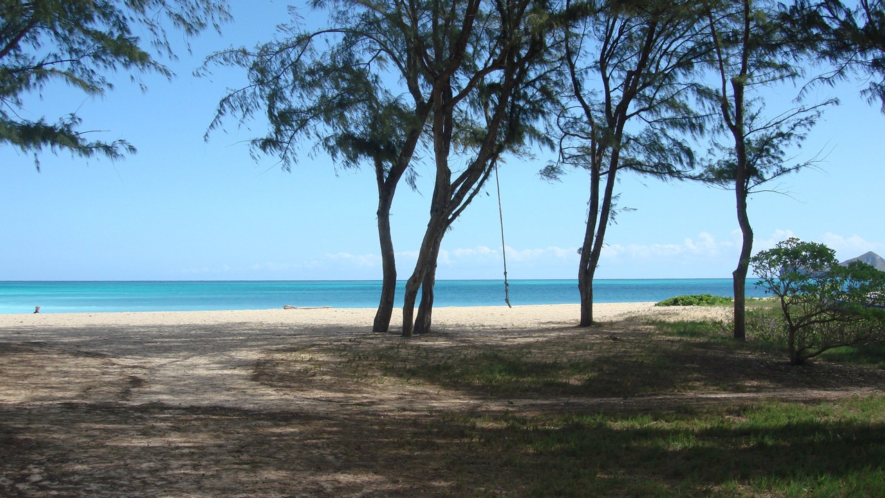 Photo of Others in Waimanalo Beach
