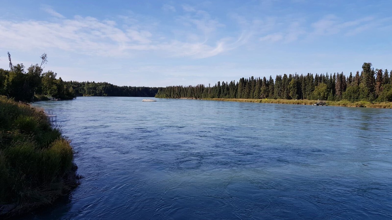 Photo of Others in Kalifornsky
