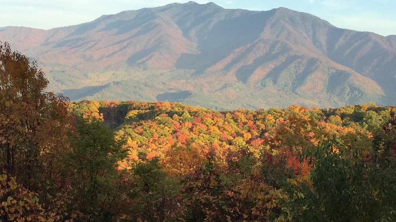 Photo of Patio Balcony in Sevierville