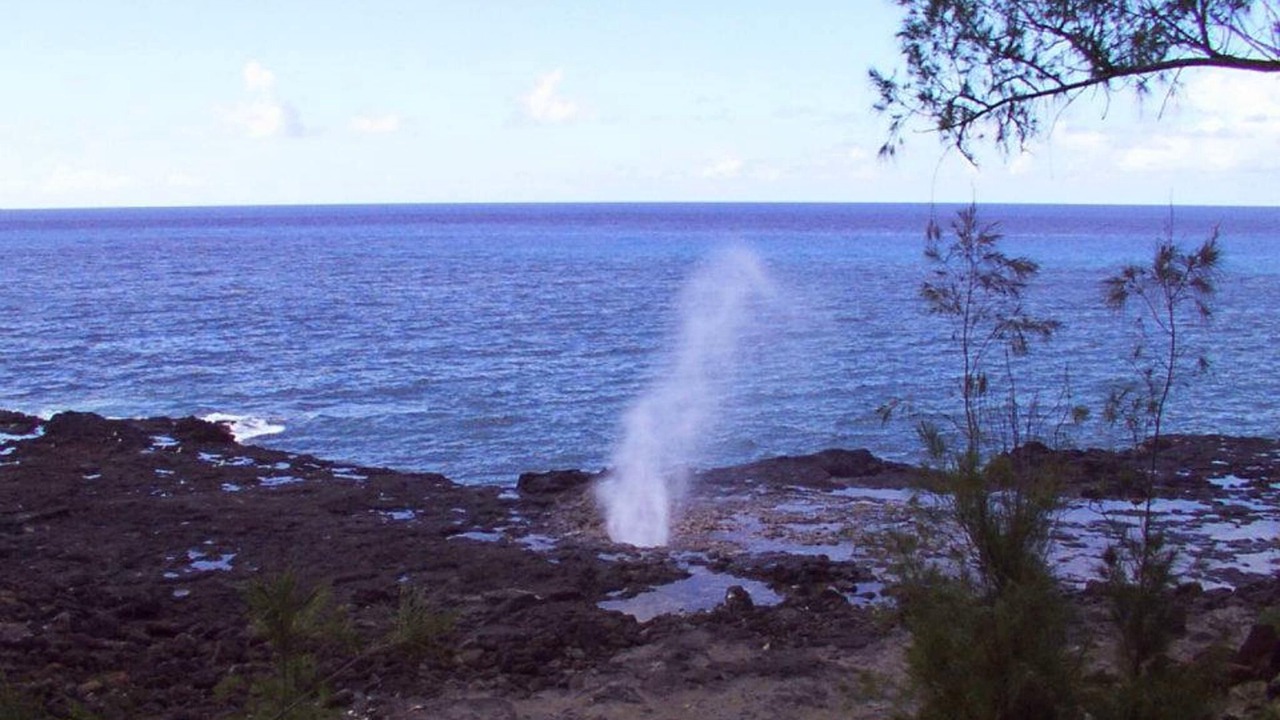 Photo of Others in Waikiki