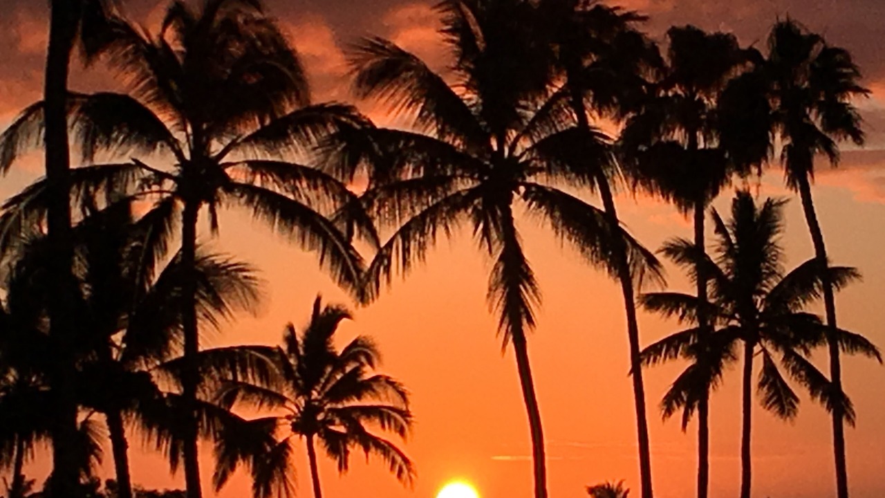 Photo of Others in Maunaloa