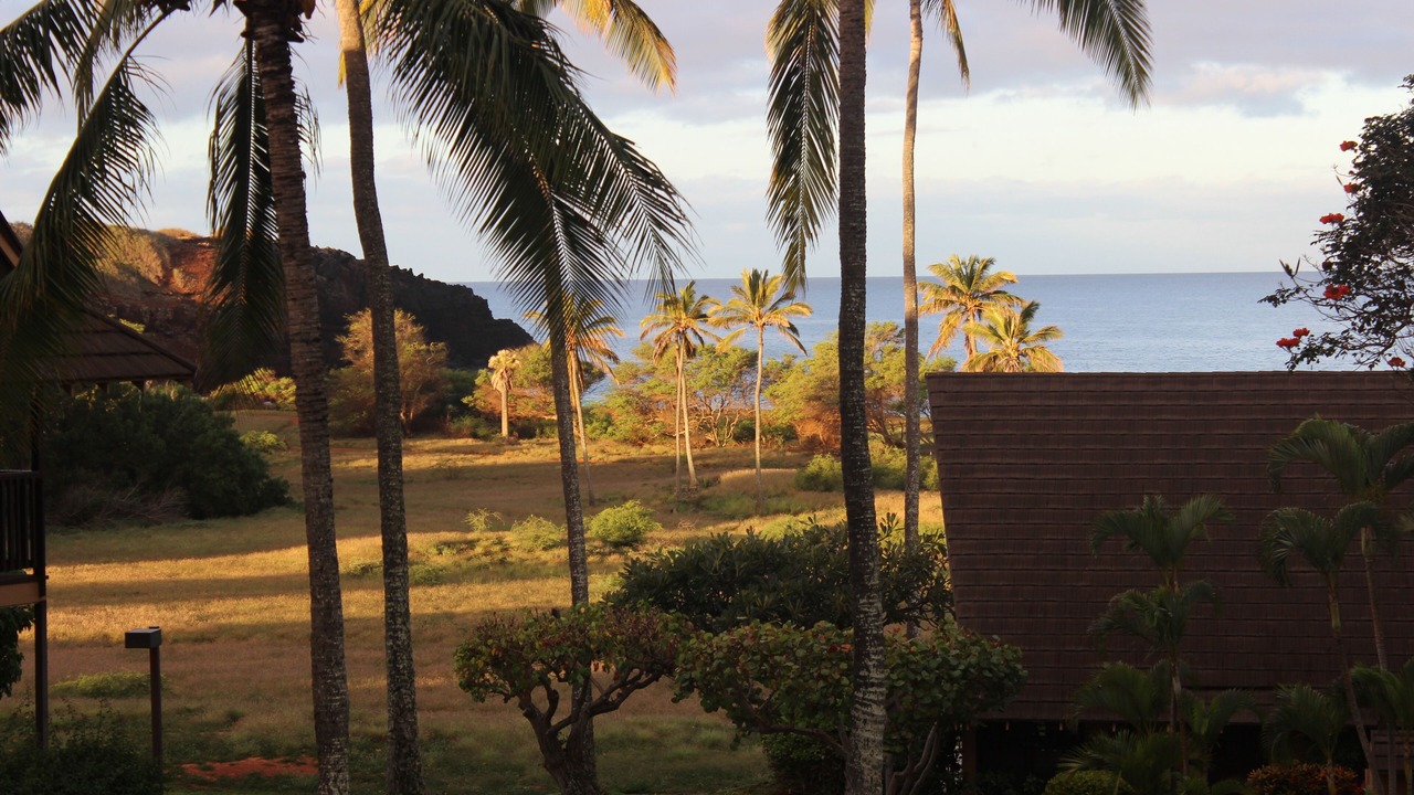 Photo of Others in Maunaloa