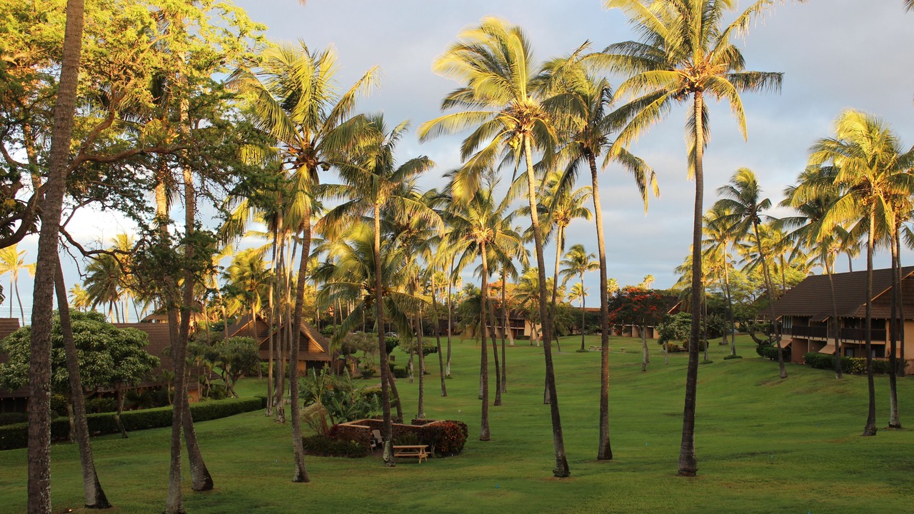 Photo of Others in Maunaloa