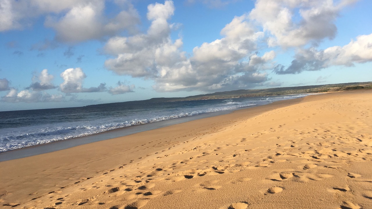Photo of Others in Maunaloa