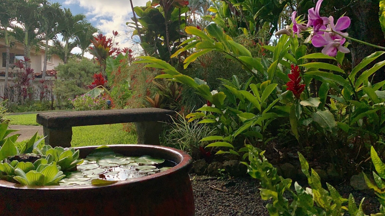 Photo of Outdoor in Princeville