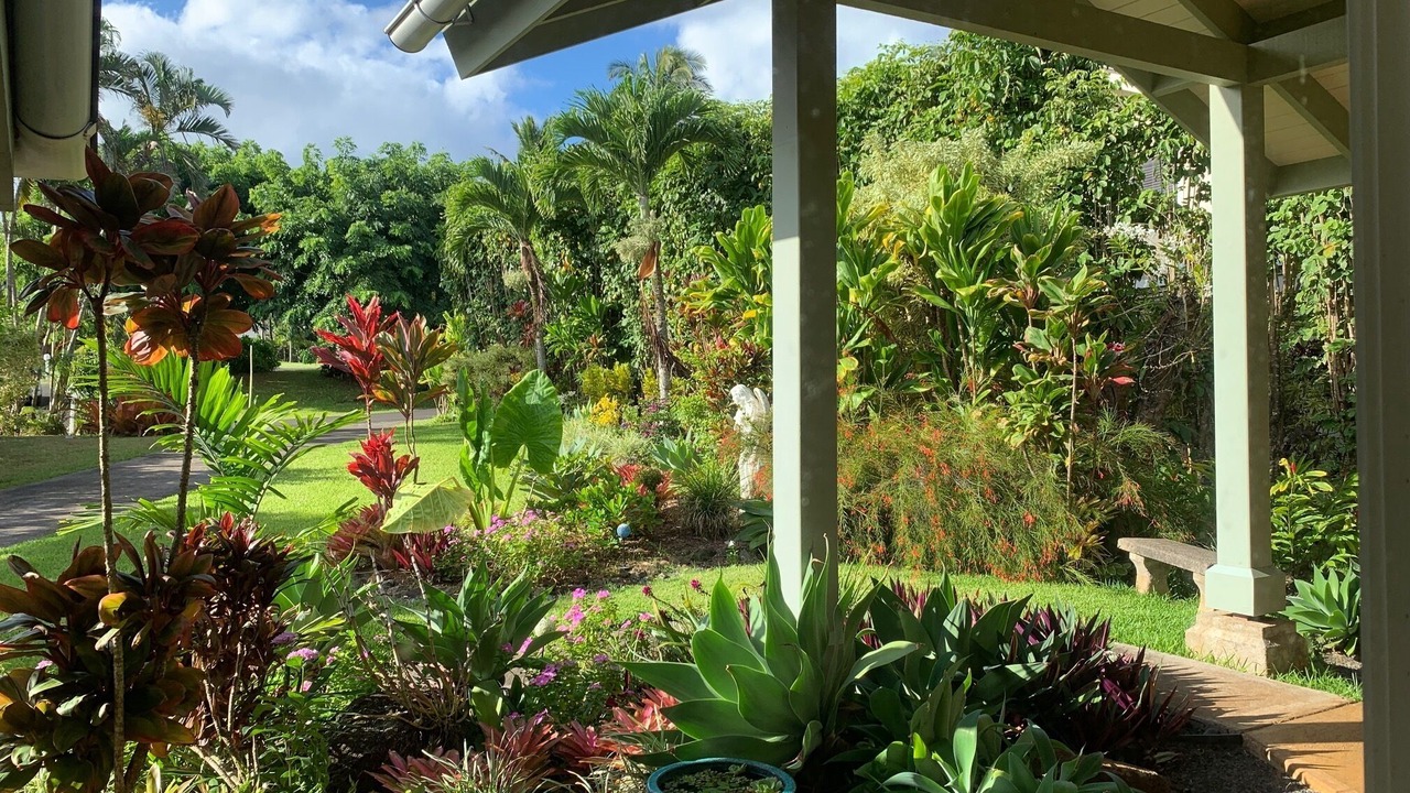 Photo of Others in Princeville