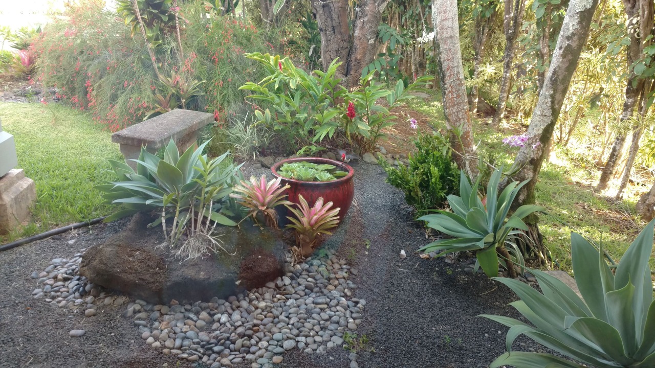 Photo of Outdoor in Princeville