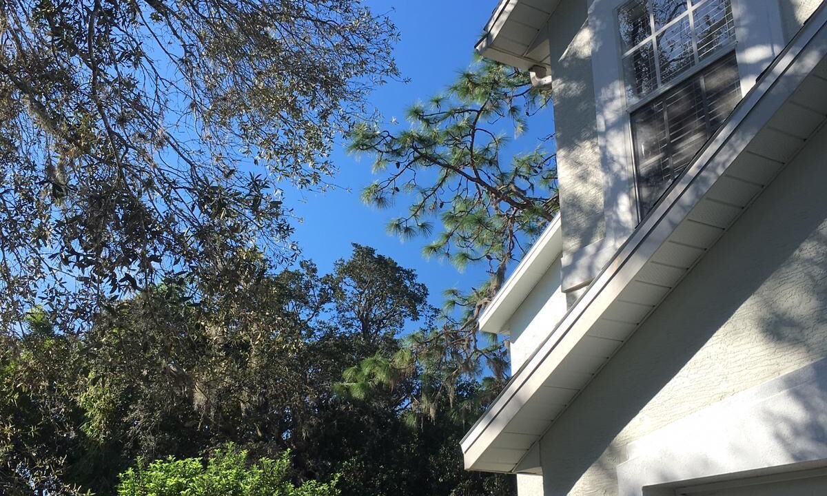Photo of Outdoor in Pinewood Country Estates