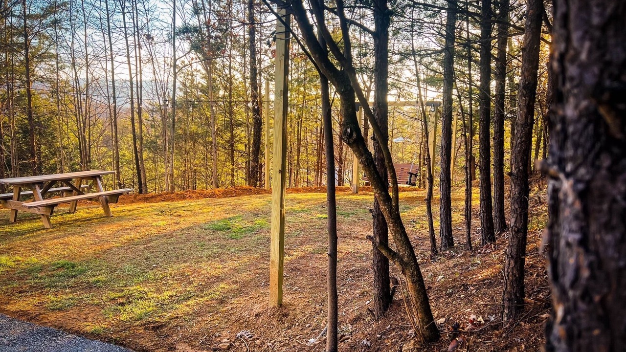 Photo of Outdoor in Sevierville
