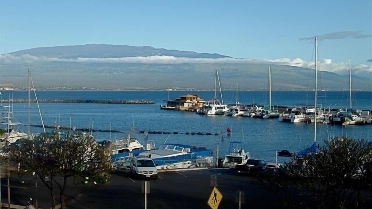 Photo of Others in Maalaea
