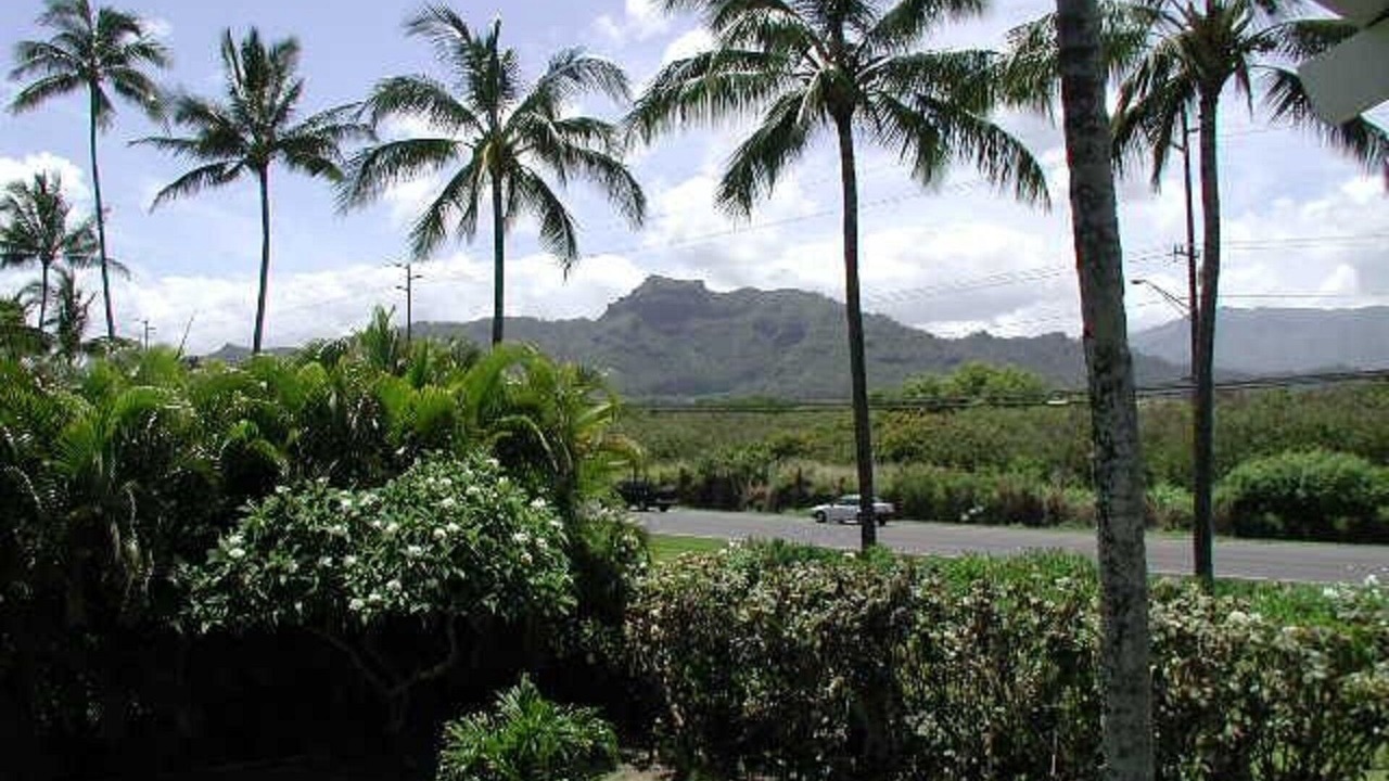 Photo of Others in Kapaa