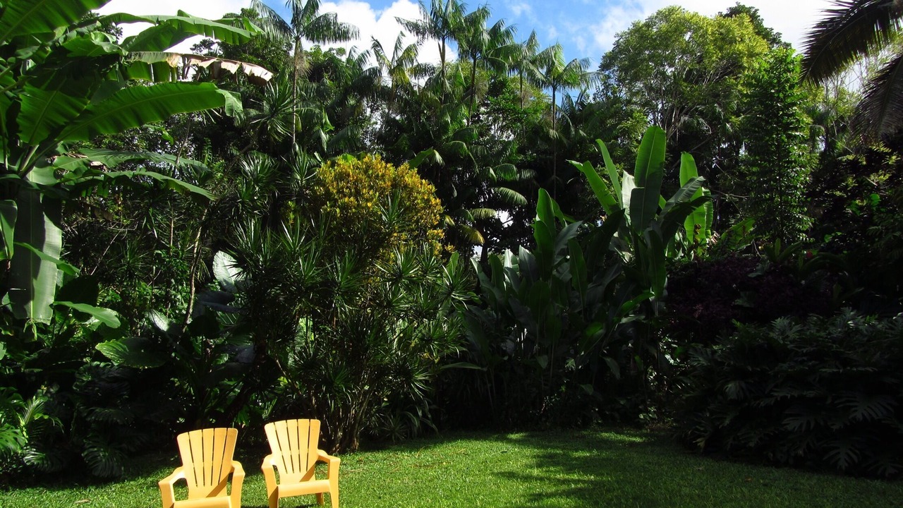 Photo of Others in Hanalei Palms
