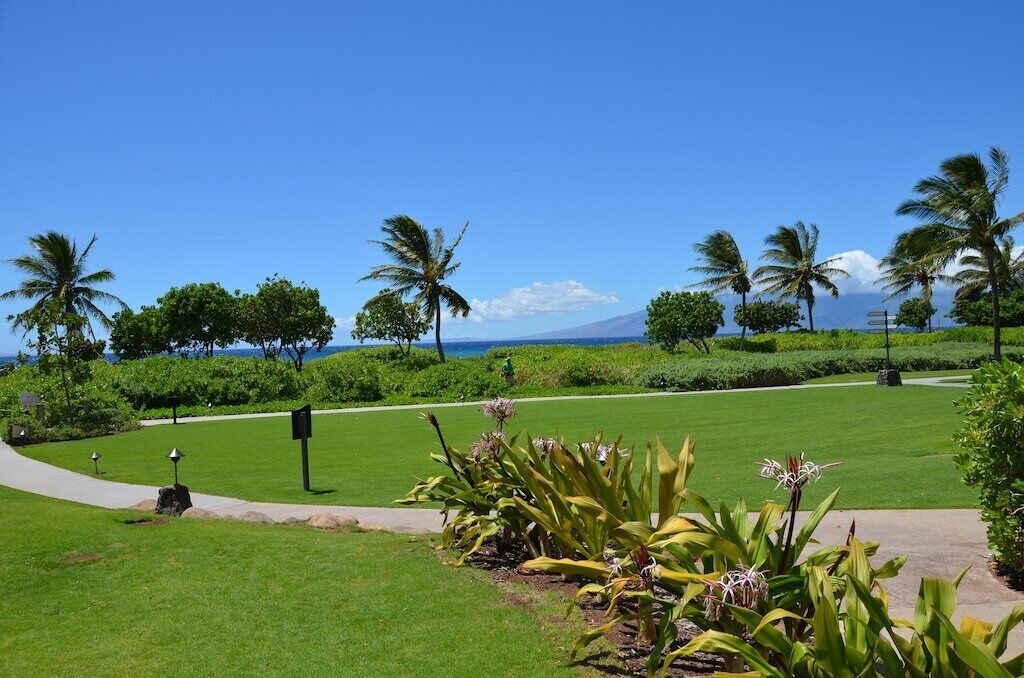 Photo of Others in Honokowai