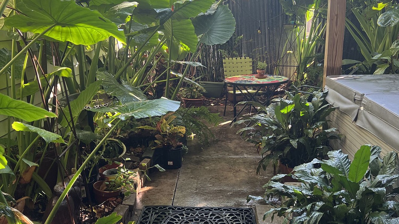 Photo of Outdoor in Faubourg Marigny