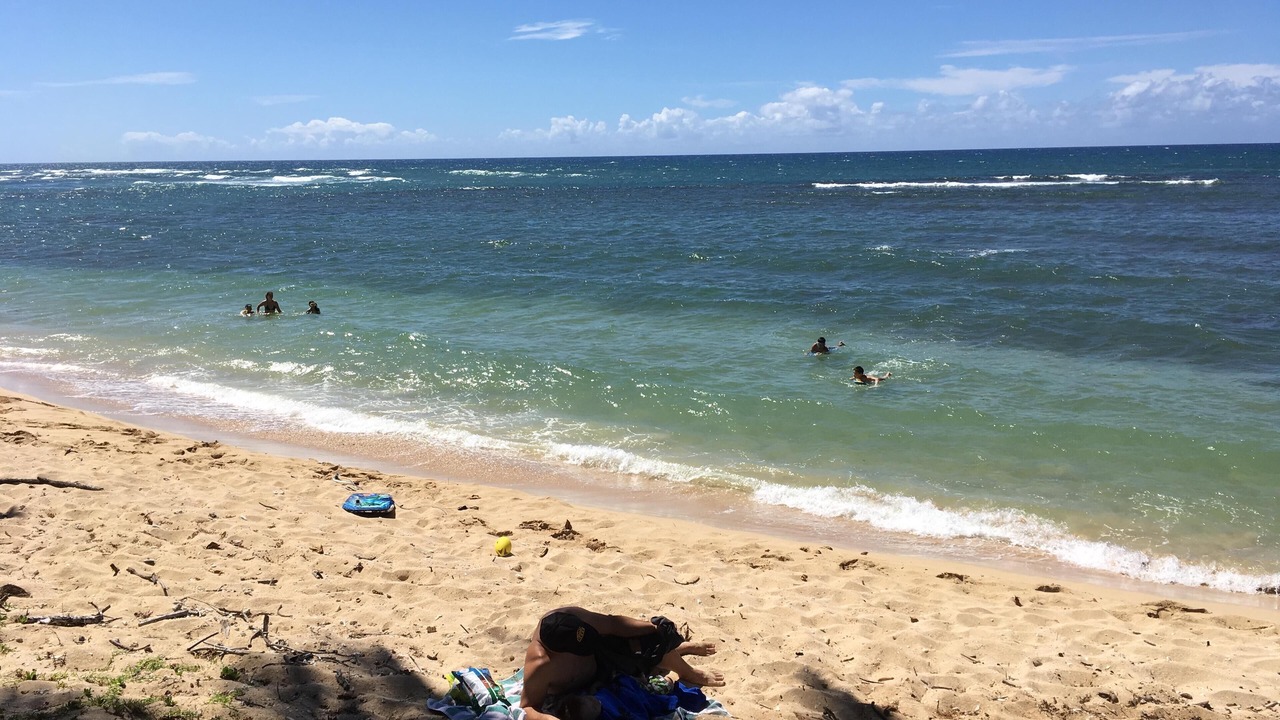 Photo of Others in Mokuleia