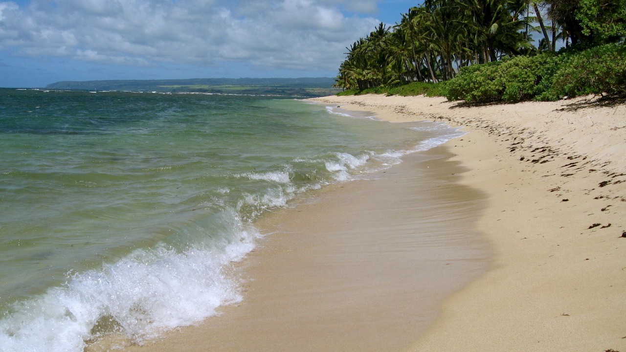Photo of Others in Mokuleia