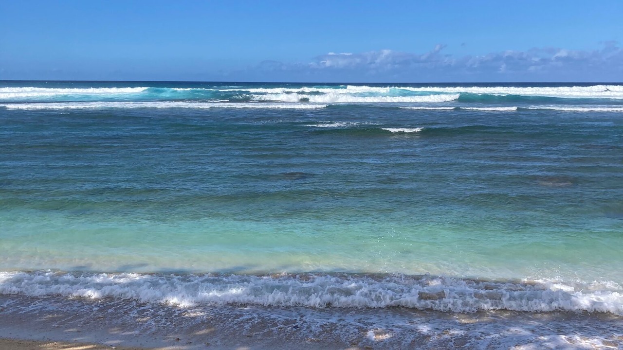 Photo of Others in Mokuleia