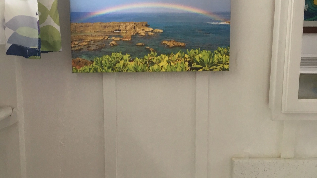 Photo of Bathroom in Mokuleia