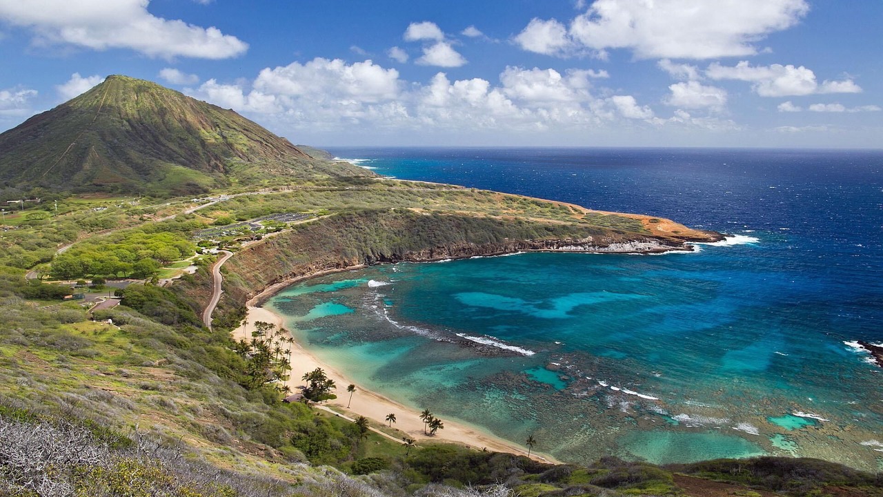 Photo of Others in Hawaii Kai