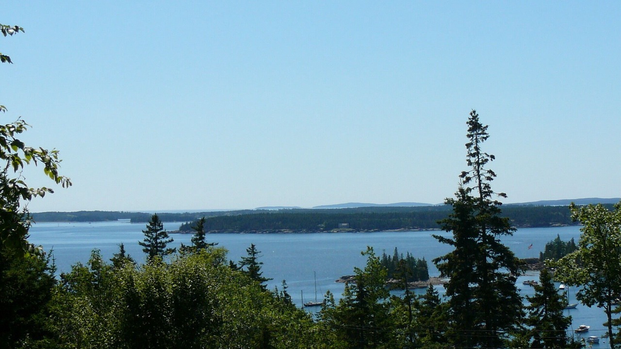Photo of Others in Seal Harbor